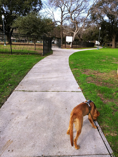 AF1QipNH5lSoxoFnqZNtOcSlXWURATR6r2xA2ysdE8bpw408-h544-k-no-1.jpg