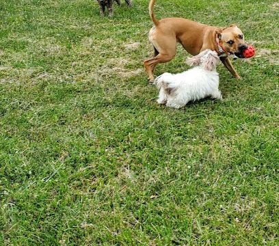 AF1QipOP6JOypKPH541G2iQf9XjqBplR9lVyg_nl222iw408-h862-k-no.jpg