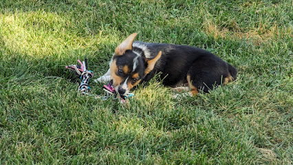 AF1QipOTC44YFgjr4lJDOSCZSLTpTgDsxXehaOk7q-dpw426-h240-k-no-1.jpg