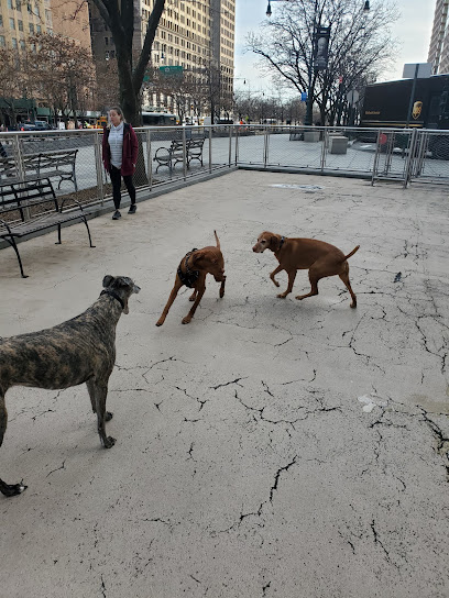 AF1QipPyAbGP_7E2U94QDvqC5mCco72pQ_90qKQvDflqw408-h544-k-no-1.jpg