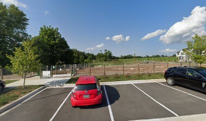 thumbnail-152.jpg