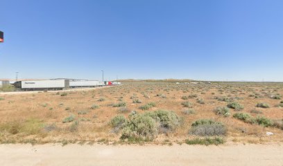 thumbnail-186.jpg