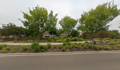 thumbnail-205.jpg