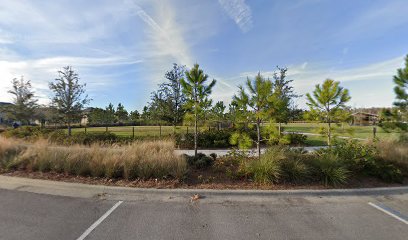 thumbnail-419.jpg